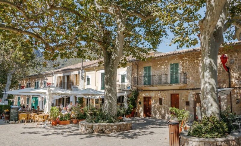 Palma De Mallorca: Son Juliana Wine Experience and Tasting - Discovering the Essence of Mallorcan Terroir
