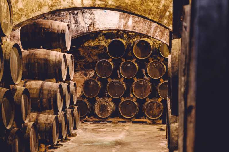 Palma: Distillery Tour With 3 Spirits and Tapas Tasting - Tasting Experience
