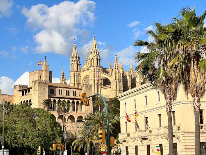 Palma Exclusive: Immerse Yourself in the Soul of the City - Experience Highlights