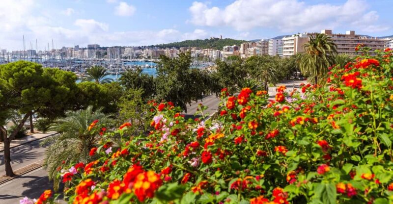 Palma: Express Walk With a Local in 60 Minutes - Experience Highlights