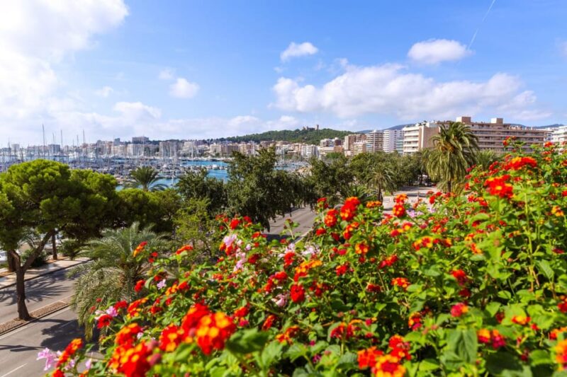 Palma: Express Walk With a Local in 60 Minutes - Tour Details
