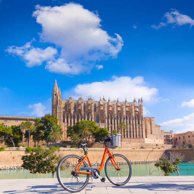 Palma: Express Walk With a Local in 60 Minutes - Cancellation Policy