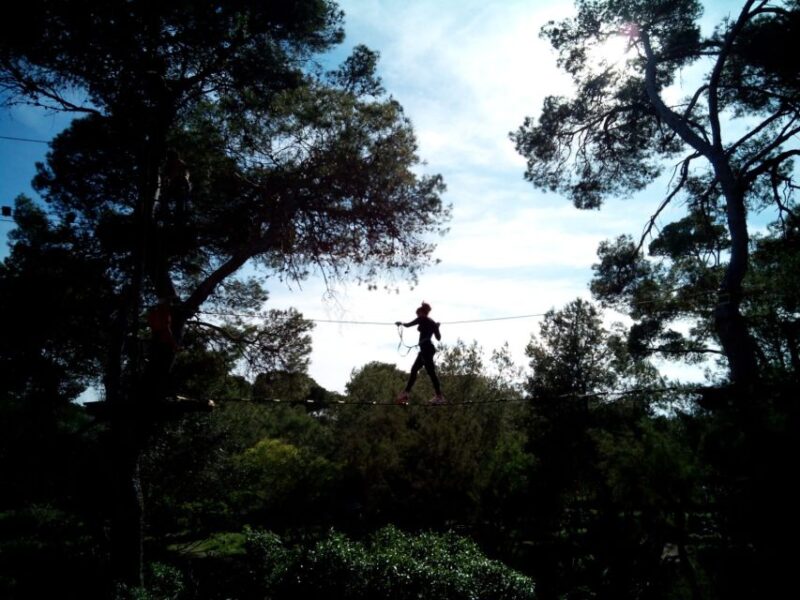 Palma: Family or Sports Course Adventure at Forestal Park - Key Points