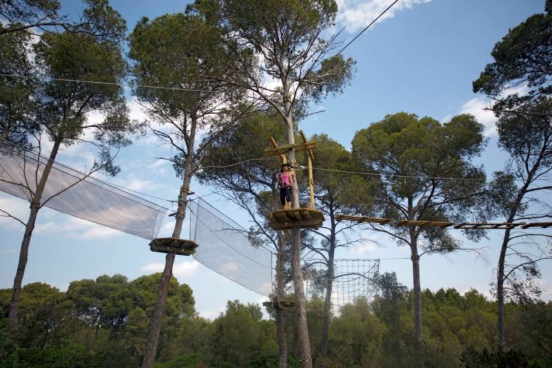 Palma: Family or Sports Course Adventure at Forestal Park - Safety Considerations