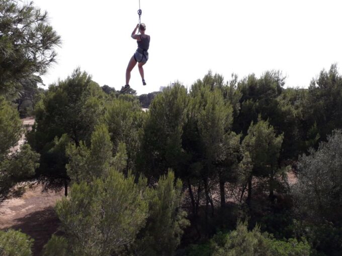 Palma: Family or Sports Course Adventure at Forestal Park - Visitor Essentials