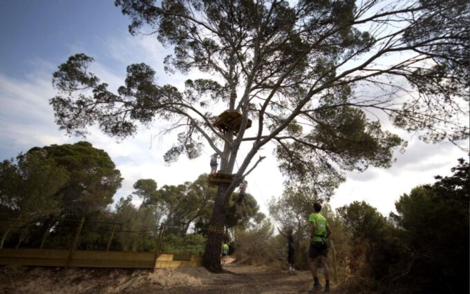 Palma: Family or Sports Course Adventure at Forestal Park - Customer Feedback Highlights