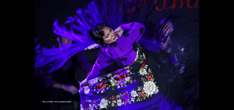 Palma: Flamenco Show at Tablao Flamenco Alma With Drink - Suitable Participants