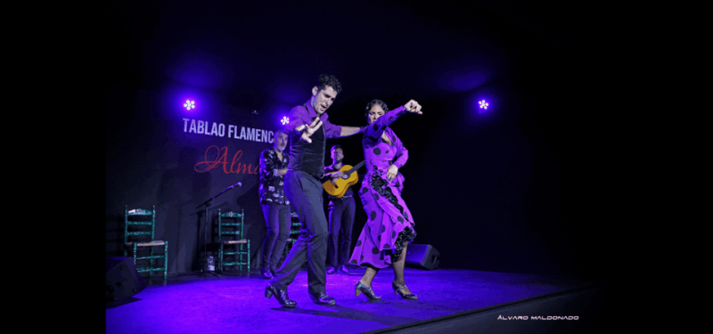 Palma: Flamenco Show at Tablao Flamenco Alma With Drink - Booking Information
