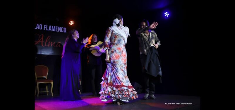 Palma: Flamenco Show at Tablao Flamenco Alma With Drink - Performance Highlights