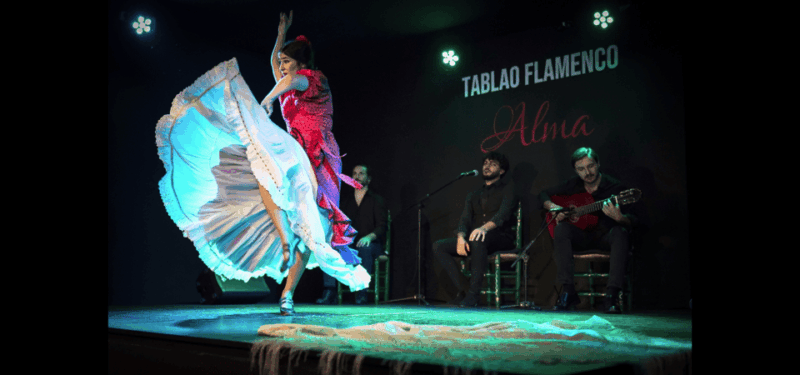 Palma: Flamenco Show at Tablao Flamenco Alma With Drink - Accessibility and Additional Information