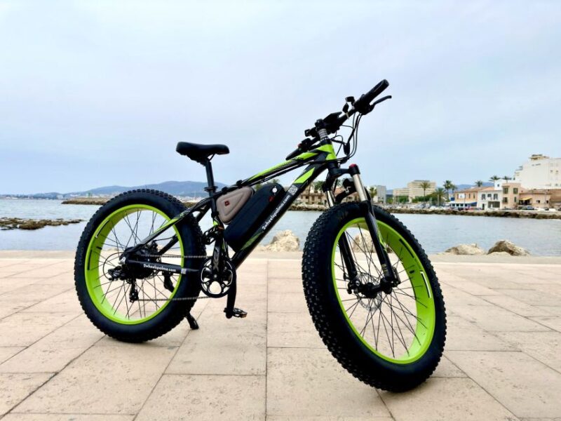 Palma: Guided City Tour With a Fat Tire E-Bike - Highlights of Palma