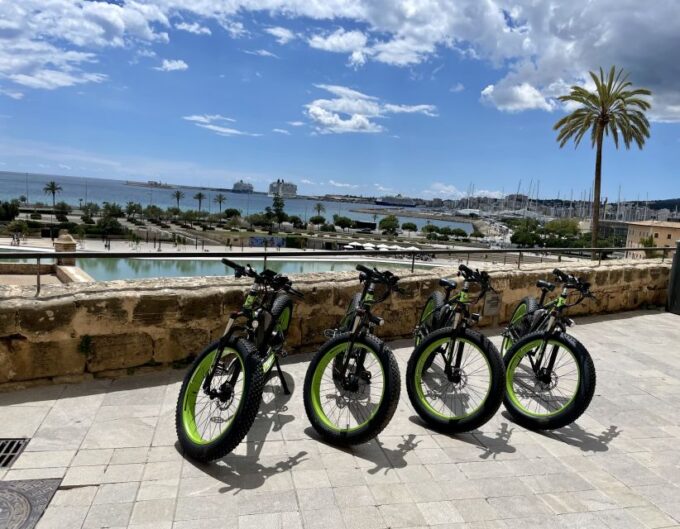 Palma: Guided City Tour With a Fat Tire E-Bike - Restrictions and Limitations
