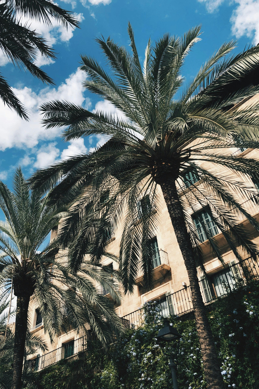 Palma: History & Beauty Eco-Friendly E-Scooter Tour - Key Points