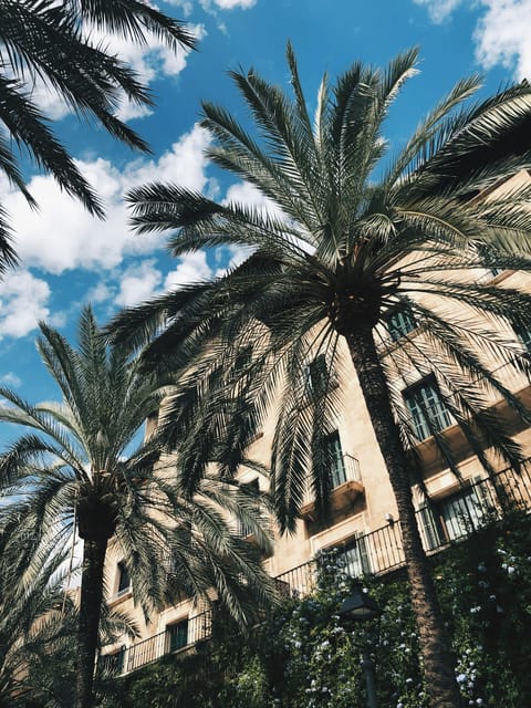Palma: History & Beauty Eco-Friendly E-Scooter Tour - Itinerary Highlights