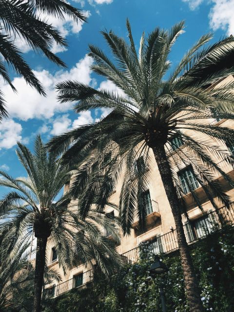 Palma: History & Beauty Eco-Friendly E-Scooter Tour - Safety Assurances