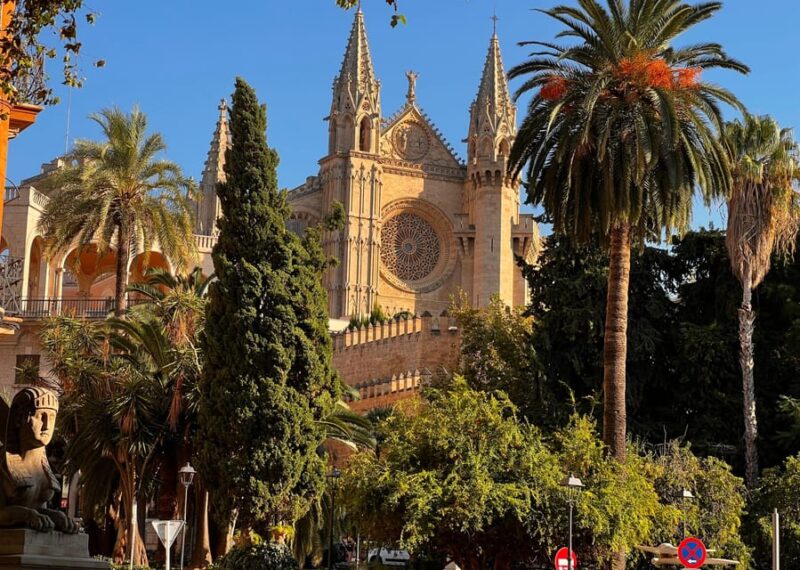 Palma Mallorca: Culinary Tour of Palma Old Town - Meeting Point and Reviews