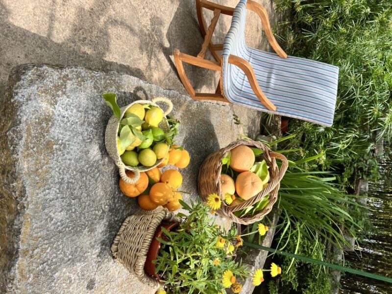 Palma: Orange Farm, Olive Mill, & Winery Tour With Tastings - Visit an Orange Plantation