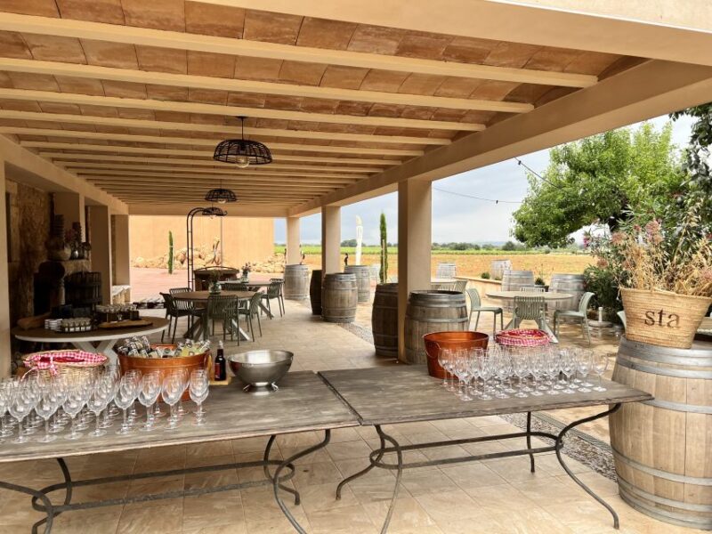 Palma: Orange Farm, Olive Mill, & Winery Tour With Tastings - Savor Excellent Local Wines