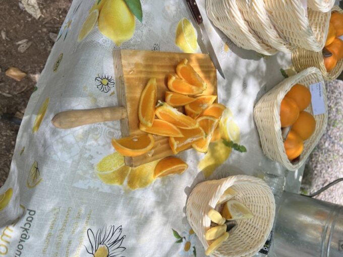 Palma: Orange Farm, Olive Mill, & Winery Tour With Tastings - Convenient Pickup and Drop-off