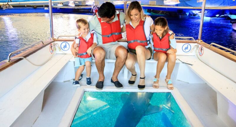 Palma: Palma Aquarium Ticket With Transfer Service - Key Points
