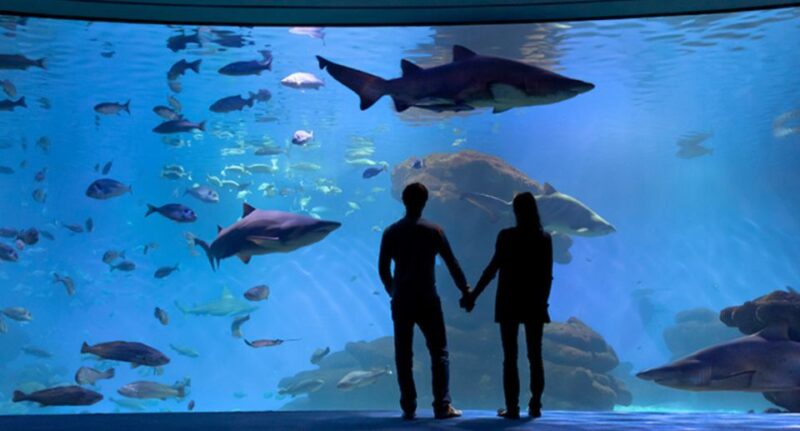 Palma: Palma Aquarium Ticket With Transfer Service - Interactive Activities for Children