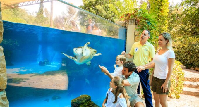 Palma: Palma Aquarium Ticket With Transfer Service - Customer Reviews and Feedback