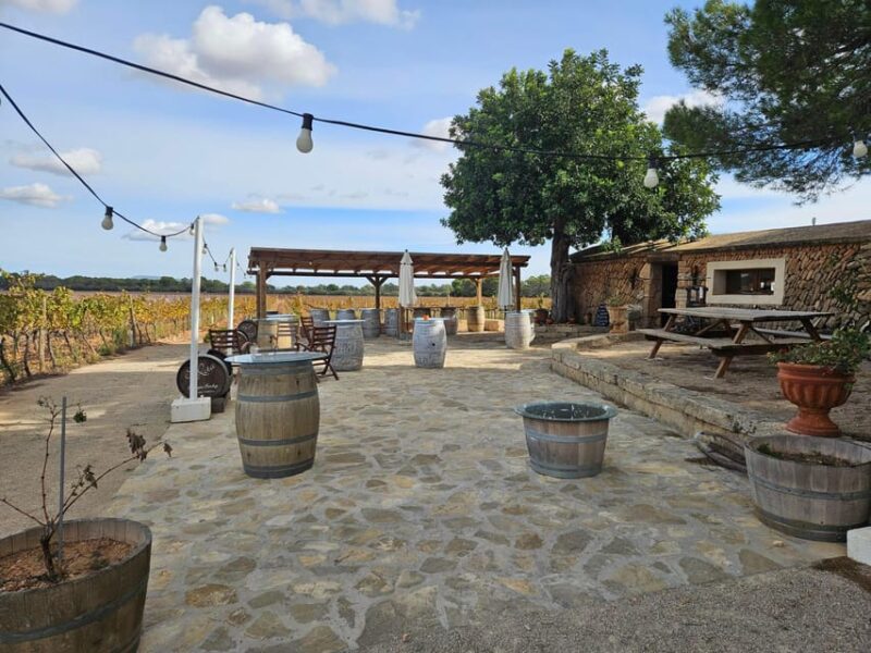 Palma: QI GONG at BODEGAS BORDOY - Session Schedule