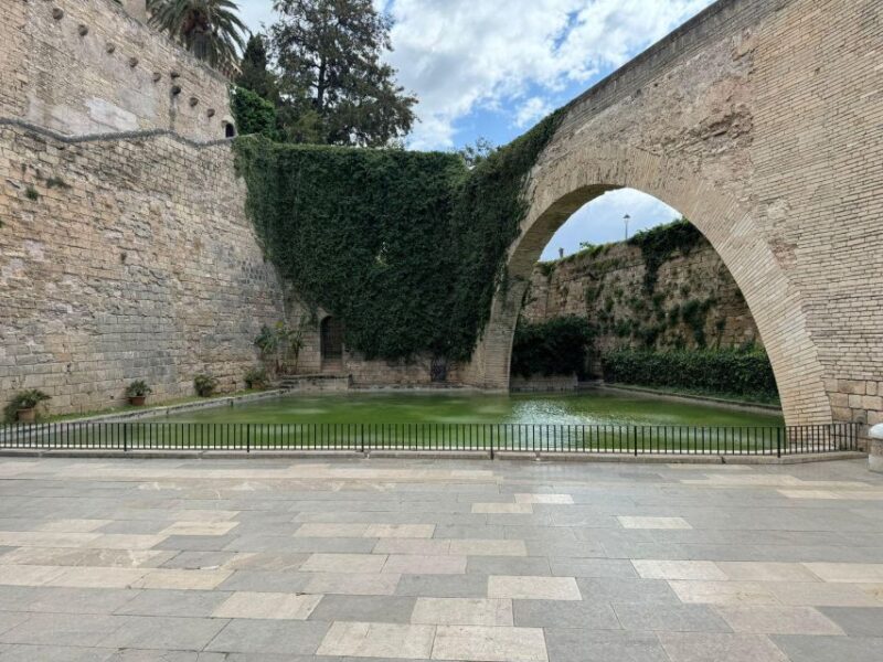 Palma Shore Excursion Bike Tour (Transfer Included) - Included Amenities