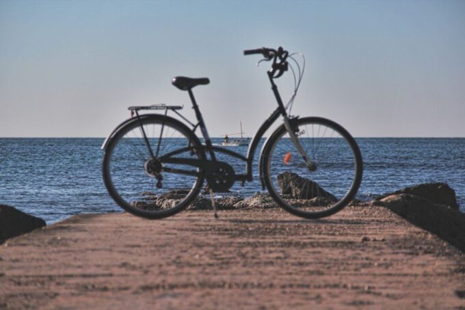 Palma Shore Excursion Bike Tour (Transfer Included) - Return to Port