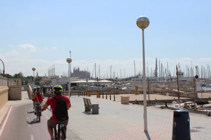 Palma Shore Excursion Bike Tour (Transfer Included) - Experienced Local Guide