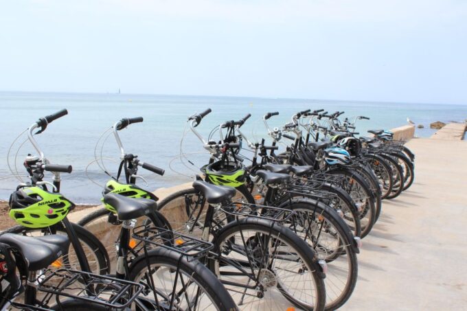 Palma Shore Excursion Bike Tour (Transfer Included) - Photos at Viewpoints