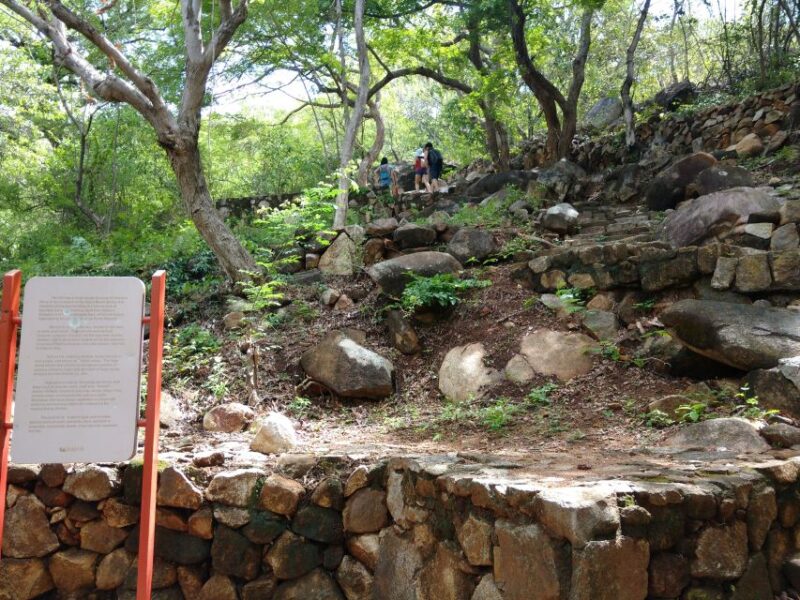 .Palma Sola Archaeological Zone and Market Visit With Lunch - Key Points