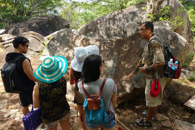 Palma Sola Petroglyphs Archaeological & City Market W/Lunch - Key Points
