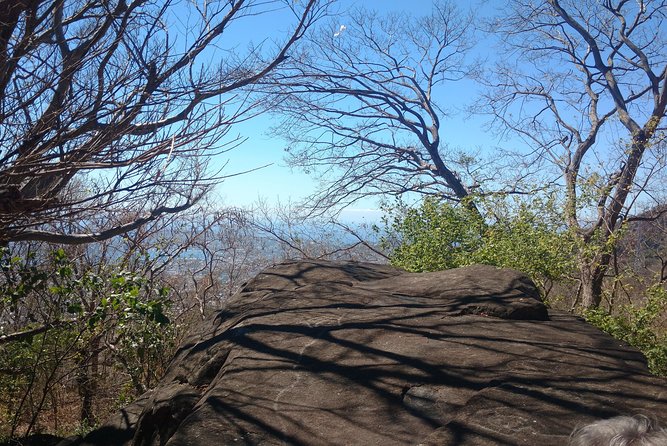 Palma Sola Petroglyphs Archaeological & City Market W/Lunch - Pickup Information