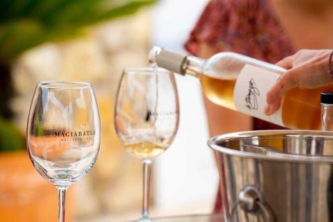 Palma Tapas Tour- The Original! - Cancellation and Refund Policy
