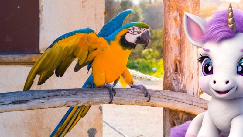 Palma: the Magical Creatures of Palma, Exciting Family Game - FAQ