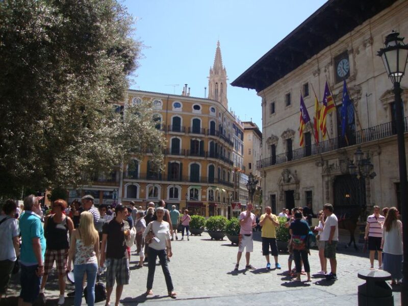 Palma Tour With Wine and Tapas Tasting - Wine and Olive Oil Tasting