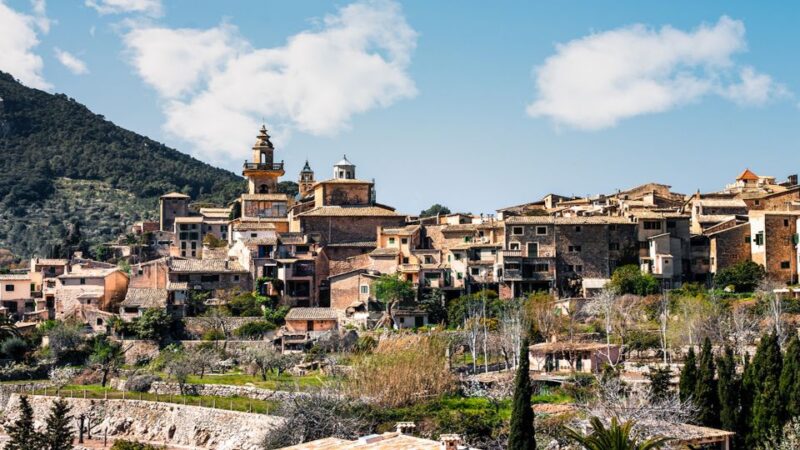 Palma: Tramuntana Full-Day Tour With Sóller Train and Lunch - Train Ride Experience