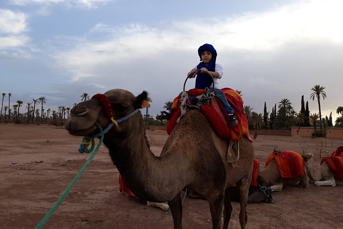 Palmerai Groove Camel Ride With Sunset - Exploring the Palmerai