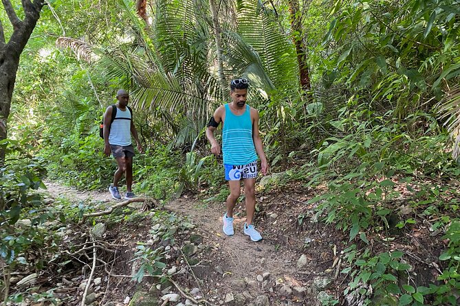Palo María Waterfalls Hike Half-Day Tour - Overall Sentiment and Highlights