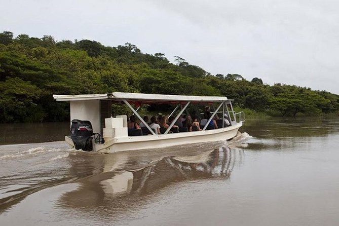 Palo Verde Boat Safari - Exploring Palo Verde National Park