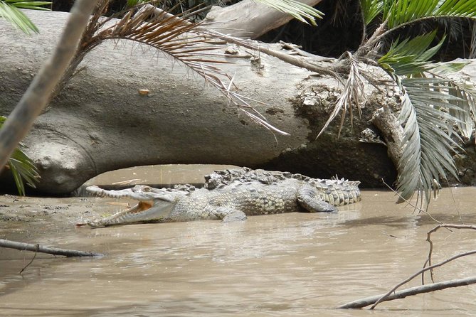 Palo Verde Boat Tour - Wildlife and Nature