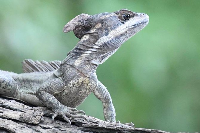 Palo Verde National Park Boat Tour - Exploring Palo Verde National Park