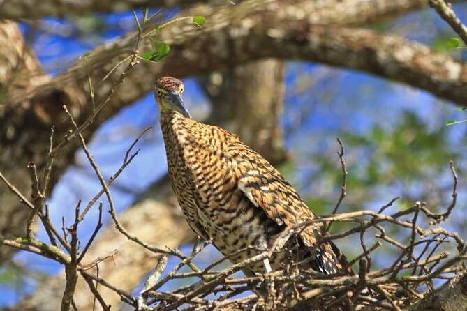 Palo Verde National Park by Costa Rica Xplores - Abundant Wildlife Sightings