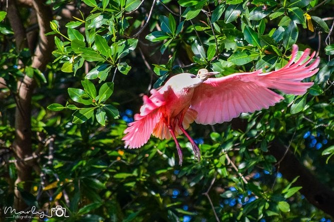 Palo Verde National Park Day Trip - Opportunities for Birdwatching