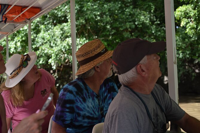 Palo Verde National Park River Safari Boat Tour - Included Experiences