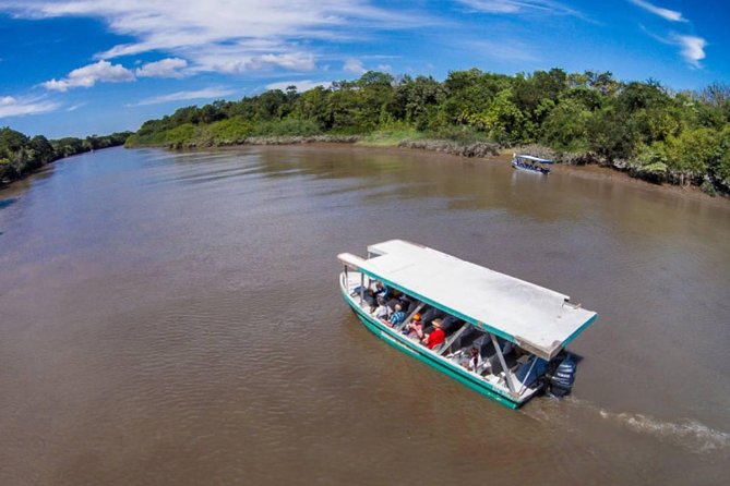 Palo Verde National Park River Safari Boat Tour - Pricing and Policies