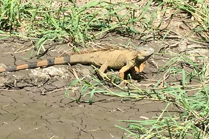 Palo Verde National Park Safari & Ceramic Pottery Cultural Demo - Booking Details and Cancellation Policy