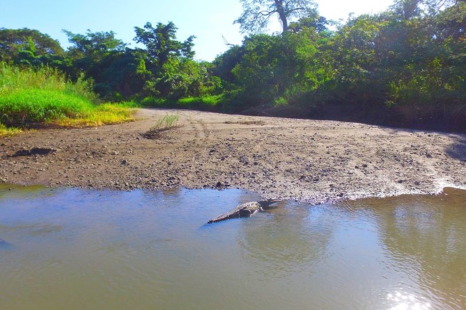 Palo Verde RiverRide From Guanacaste - Pickup and Transportation Details