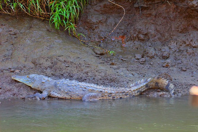 Palo Verde RiverRide From Guanacaste - Pricing and Booking Information